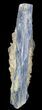 Vibrant Blue Kyanite Crystal In Quartz - Brazil #56931-2